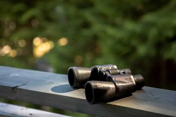 Top 5 Night Vision Monoculars for Hunting in 2025 Top 5 Night Vision Monoculars for Hunting in 2025